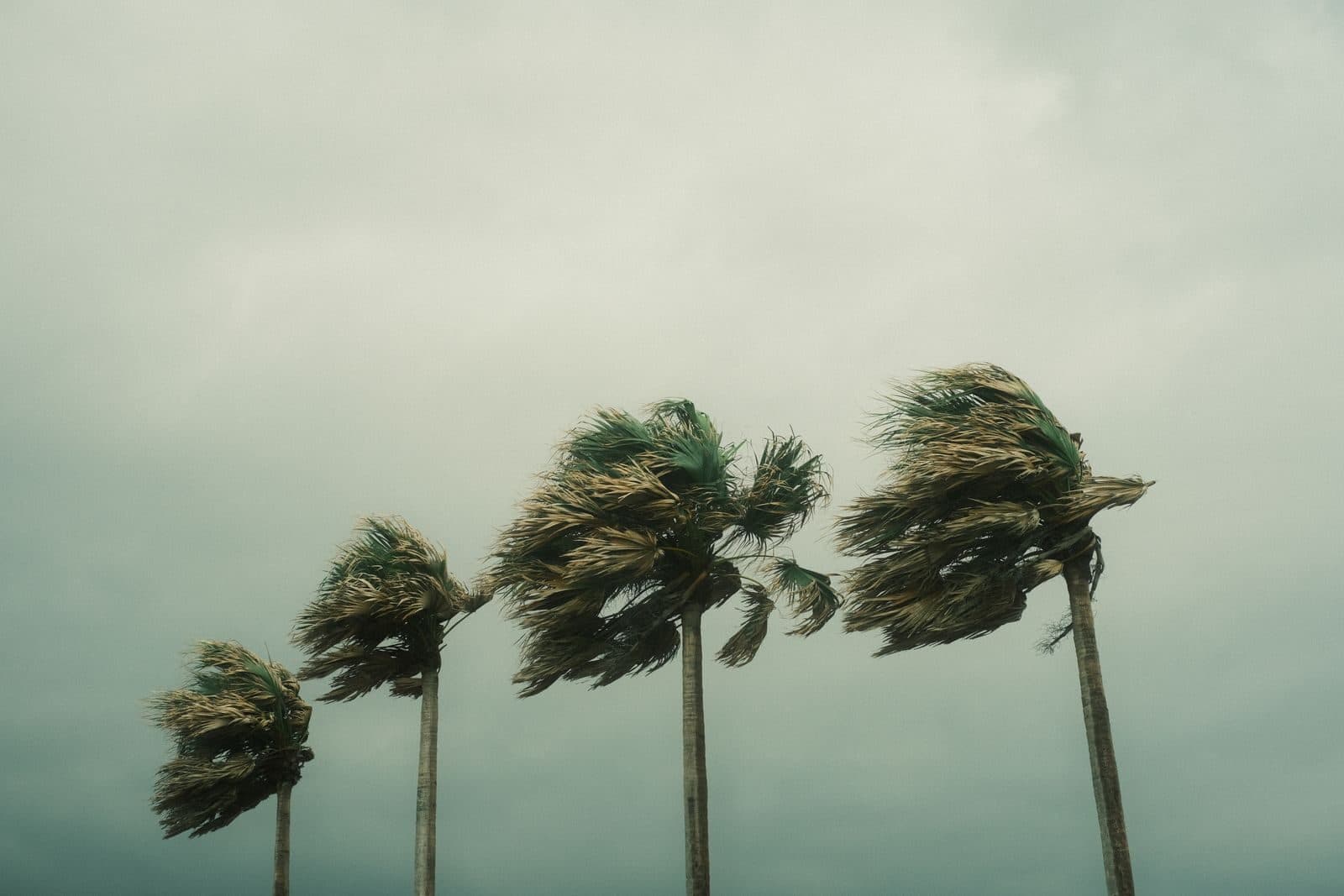 Hidden Storm Damage: What to Check Before Hurricane Season Ends in South Florida