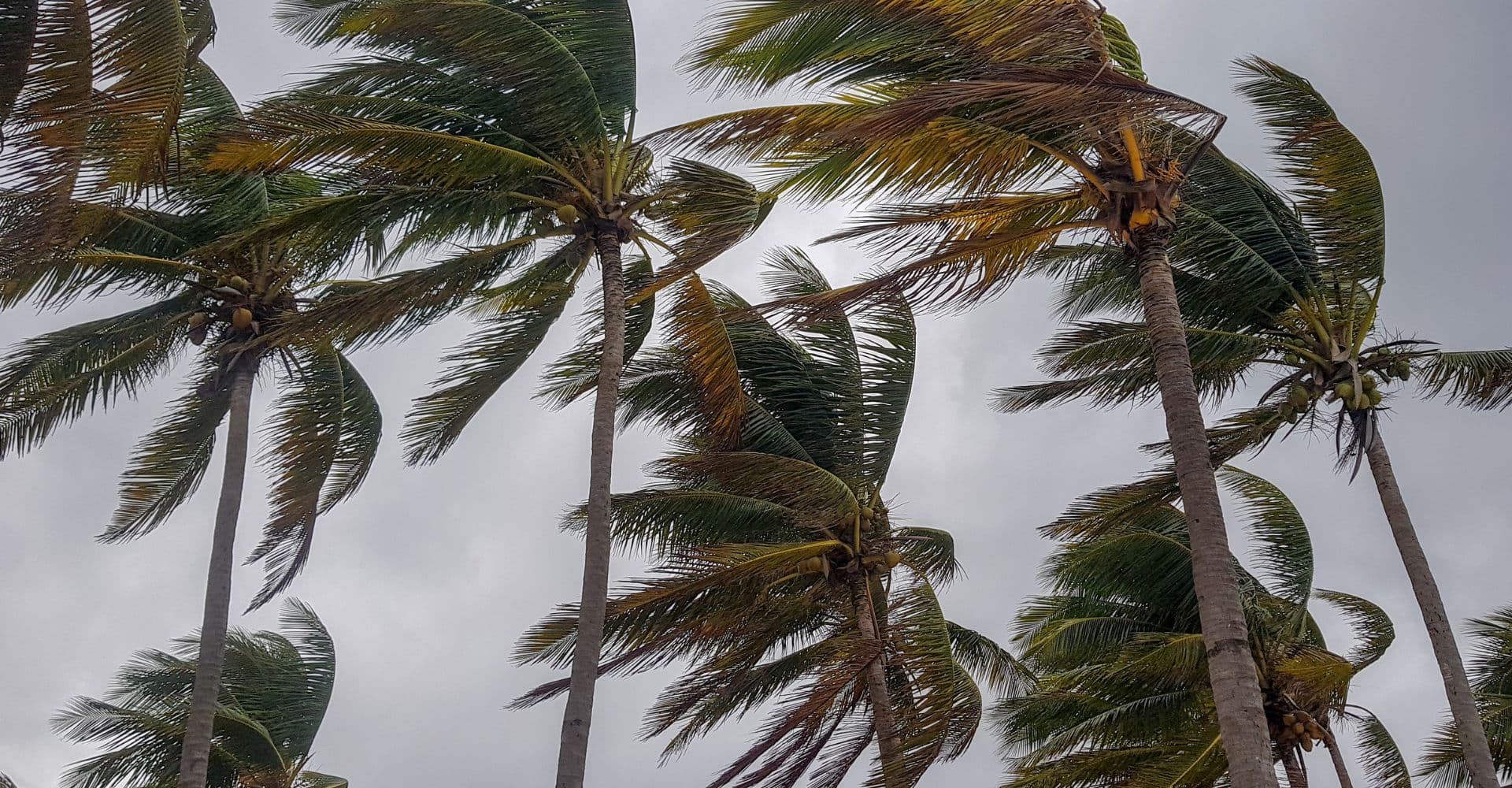 Wind mitigation inspection in South Florida